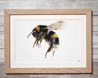 Bumblebee Watercolor Art Print, Countryside Wall Decor