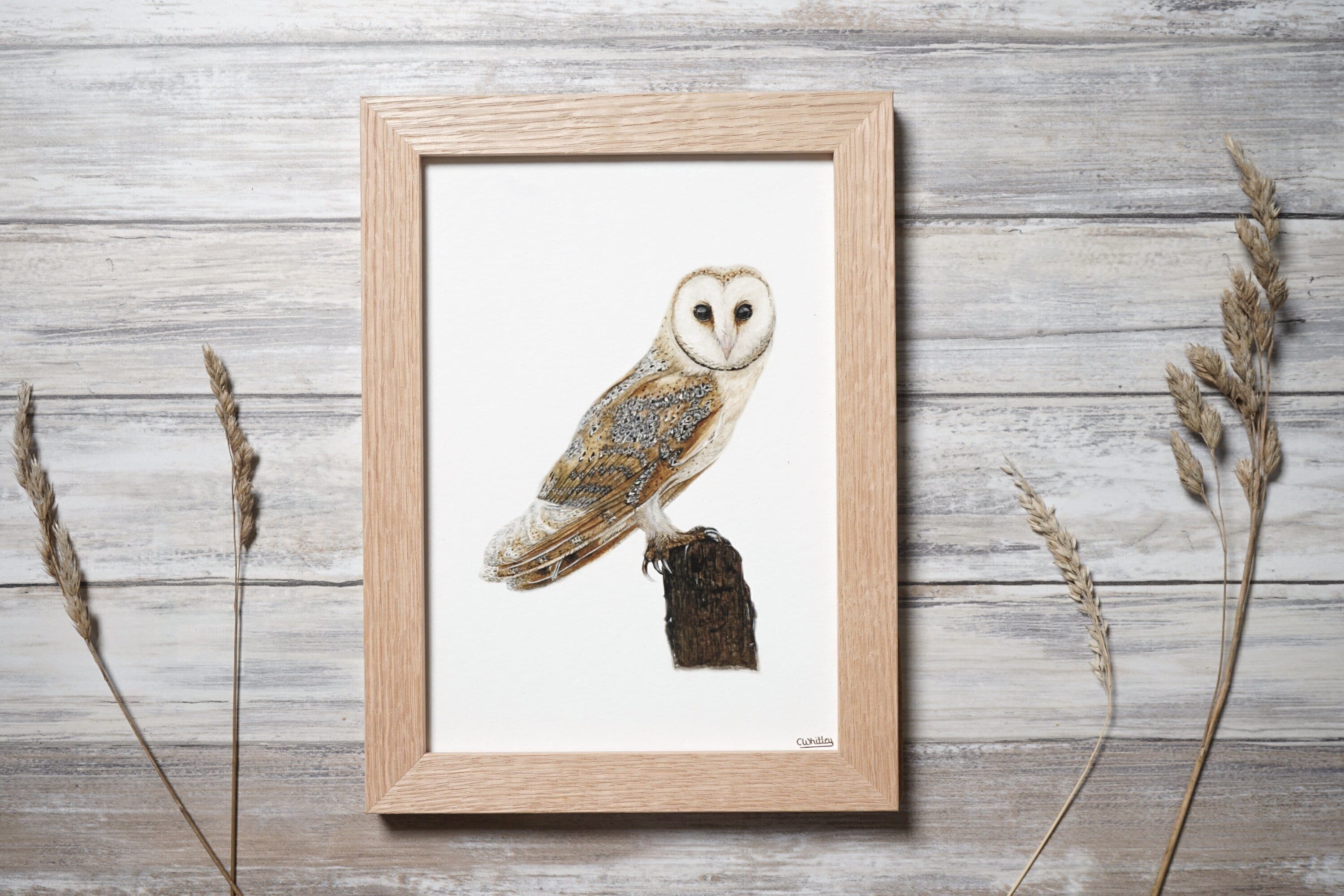 Wallart Barn Owl Watercolour Art Print, Country Home Decor (A5 available)