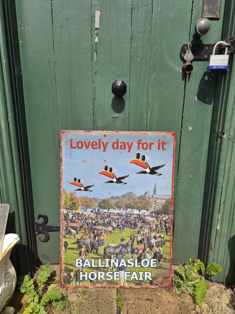 May include: A rectangular metal sign with the text "Lovely day for it" and "BALLINASLOE HORSE FAIR". The sign features a colorful illustration of toucans wearing top hats flying over a crowd of people and horses.