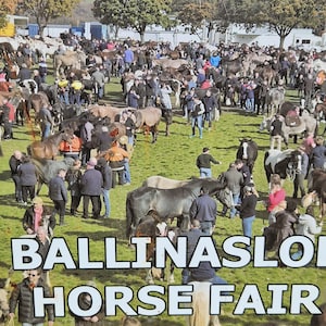 May include: A large outdoor gathering, likely a horse fair, with numerous horses and people. The sign in the foreground reads "BALLINASLO HORSE FAIR". The scene is set on a grassy field with trees and buildings in the background.