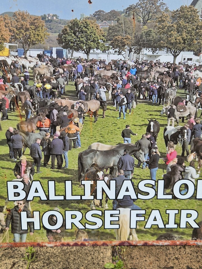 May include: A large outdoor gathering, likely a horse fair, with numerous horses and people. The sign in the foreground reads "BALLINASLO HORSE FAIR". The scene is set on a grassy field with trees and buildings in the background.