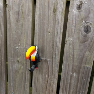 Cast Iron Guinness Toucan Coat Hook image 4