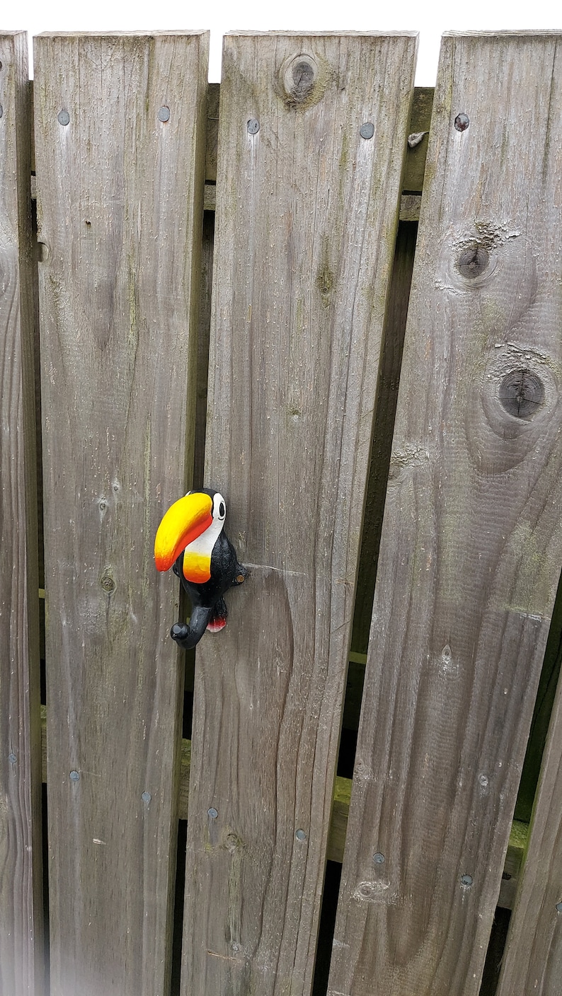 Cast Iron Guinness Toucan Coat Hook image 4