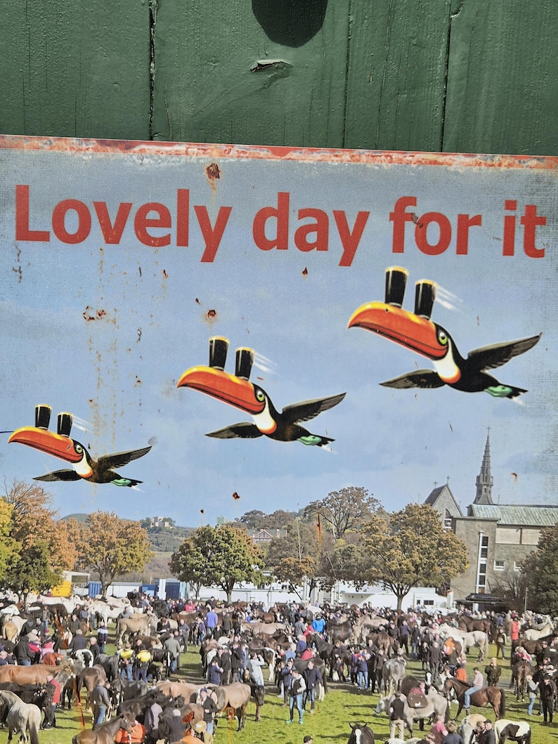 May include: A vintage metal sign with the text "Lovely day for it" in red. The sign features three toucans with orange beaks and top hats flying over a crowd of people and horses in a field.