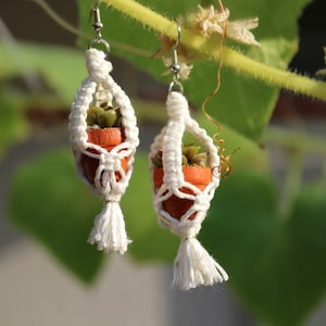 May include: A pair of white macrame earrings with small terracotta pots and green plants hanging from them. The earrings are hanging from a branch.
