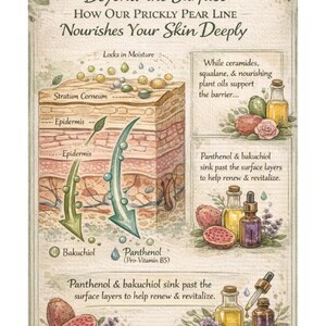 Puede incluir: Un diagrama ilustrado titulado "Beyond the Surface" detalla los beneficios de una l&iacute;nea de higo chumbo para nutrir la piel. Muestra capas de piel, ingredientes y botellas de productos con texto que describe el proceso.