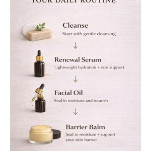 Puede incluir: Imagen que muestra una rutina de cuidado de la piel con el texto "YOUR DAILY ROUTINE." Los pasos incluyen "Cleanse," "Renewal Serum," "Facial Oil," y "Barrier Balm." Cada paso va acompa&ntilde;ado de un producto y una descripci&oacute;n.