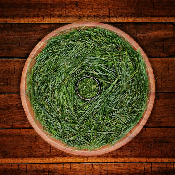 Organic Eastern White Pine Needle Tea | Loose Needles | Antioxidant Tea | Harvested Fresh Daily | Trial Size to Bulk Wholesale