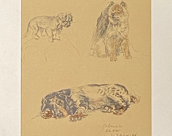 Pekingese - Chow - Spaniel by Cecil Aldin original framed print c.1934 - Just Amoung Friends