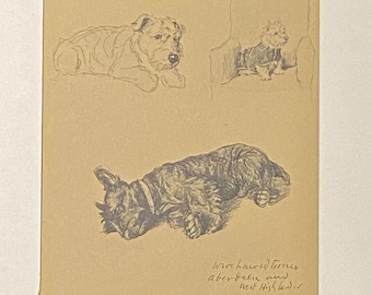 Dog prints