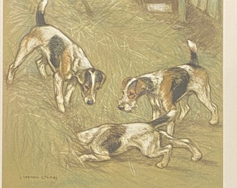 Fox Terriers by Veron Stokes original framed print c.1935