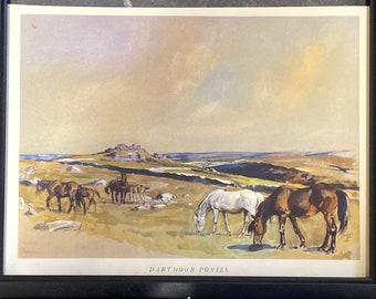 Dartmoor Ponies by Lionel Edwards original framed print c.1935