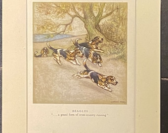 Beagles by Veron Stokes original framed print c.1935
