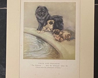 Chow and Pekingese by Veron Stokes original framed print c.1935
