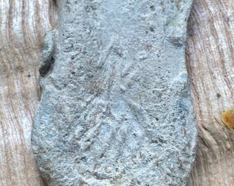 Medieval Pilgrims Ampulla. Circa 14th-15th century AD. Lead. Decorated Both Side