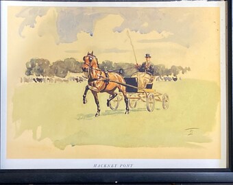 Hackney Pony by Lionel Edwards original framed print c.1935