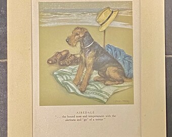 Airdale  by Veron Stokes original framed print c.1935