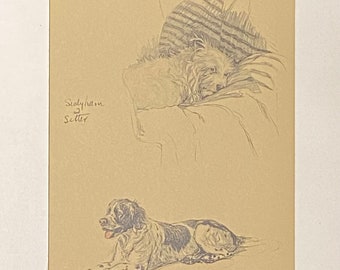 Sealyham and Setter by Cecil Aldin original framed print c.1934 - Just Amoung Friends
