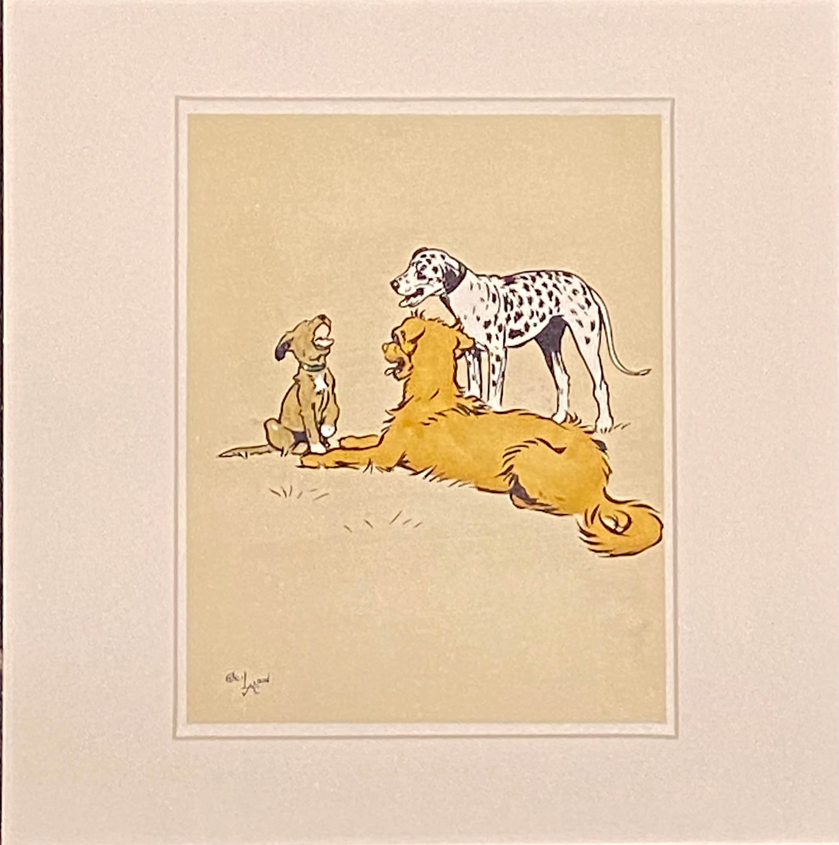 gallery photo