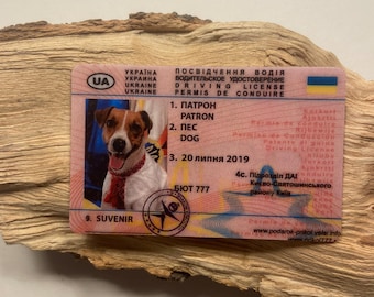 Patron Ukrainian Army Dog Novelty Driving Licence.  Joke Licence