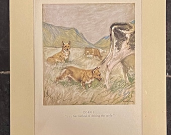 Corgi by Veron Stokes original framed print c.1935