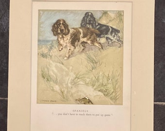 Spaniels by Veron Stokes original framed print c.1935