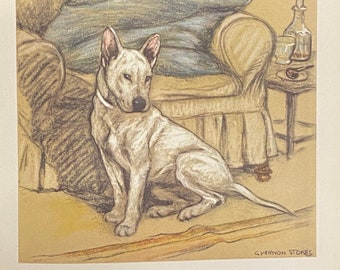 Bull Terrier by Veron Stokes original framed print c.1935