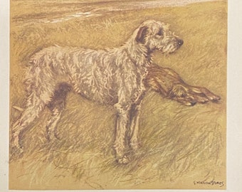 Irish Wolfhound by Veron Stokes original framed print c.1935
