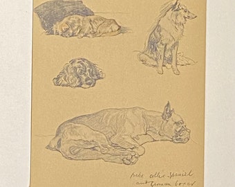 Pekingese - Collie - Spaniel - German Boxer by Cecil Aldin original framed print c.1934 - Just Amoung Friends