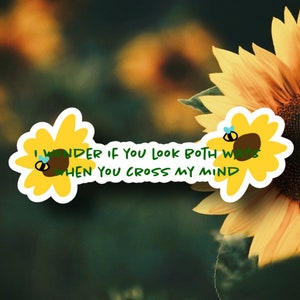 Flower Boy Lyrik Aufkleber für Geschenk, Laptops, Skateboards, Auto Aufkleber / CMIYGL / Rap / DieCut Aufkleber / Musik / Album / Blumenjunge