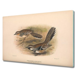 Classic Two Birds Sparrow Beige Splashback, Brown Glass Cutting Board, Animals Bread Board, Tempered Glass, Rounded Corners, Retro Birdie