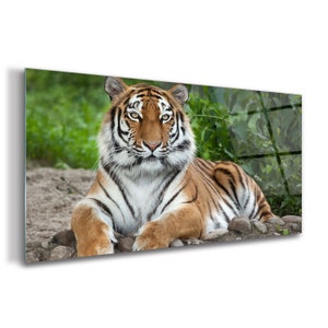 Siberian Animal Picture On Glass , Green Printing Wall Art , Brown Photo On Glass, Tiger Wall Decor, Decorative Glass, Birthday Gift