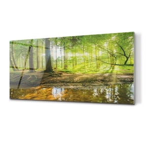 Könnte beinhalten: Ein Panoramablick auf einen üppigen grünen Wald mit Sonnenlicht, das durch die Bäume scheint. Ein kleiner Bach fließt durch den Waldboden und spiegelt das Sonnenlicht wider.