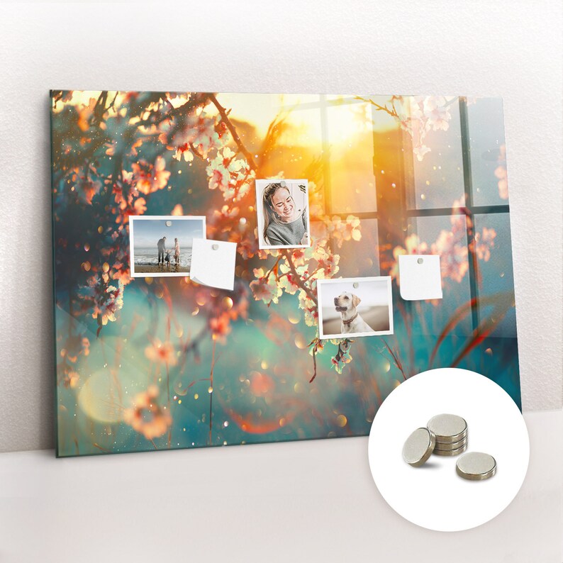 Spring Flowers Photo Wall Display, Kids Magnetic Board, Multicolour ...