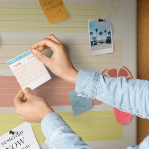 Menu planner, Orange, Idea Board, Student&#39;s Notes Board,  Pins Included, Timetable, Goal Organizer, Cork Board