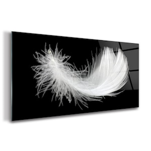 Modern Art Print On Tempered Glass , Black Tempered Glass, White Wall Decor, Feather Glass Print, Decorative Glass, Birthday Gift