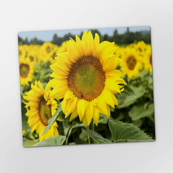 Unique Sunflower Cutting Board: Functional and Stylish Tempered