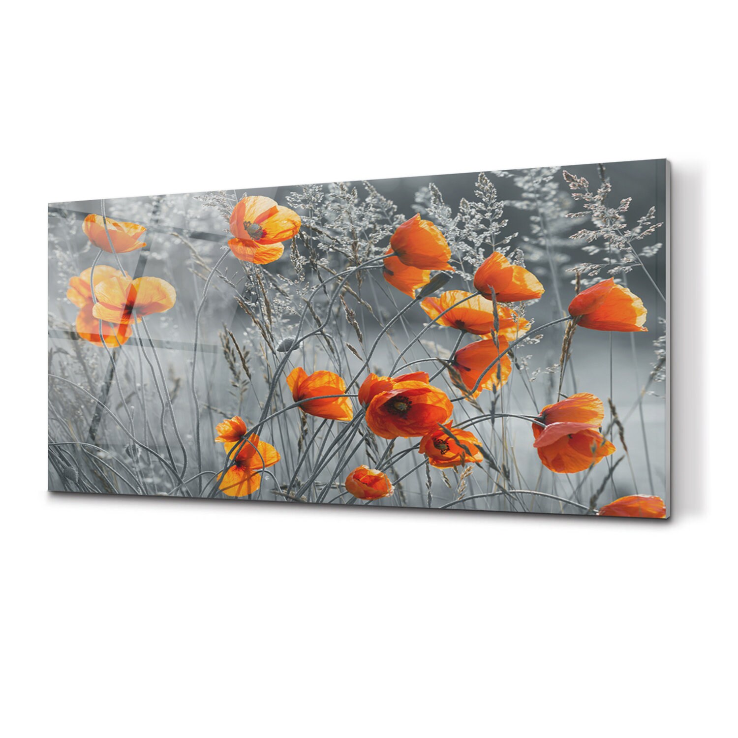 Field Poppies Splashback Red Backsplash Panel Gray Tempered - Etsy