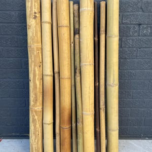 10 x Assorted Bamboo Pole Off-Cuts ( 3-9cm x 90-100cm )