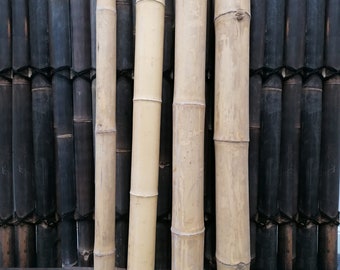 Natural Thick Bamboo Guadua Pole Cane 100cm 1m Home Garden Decoration