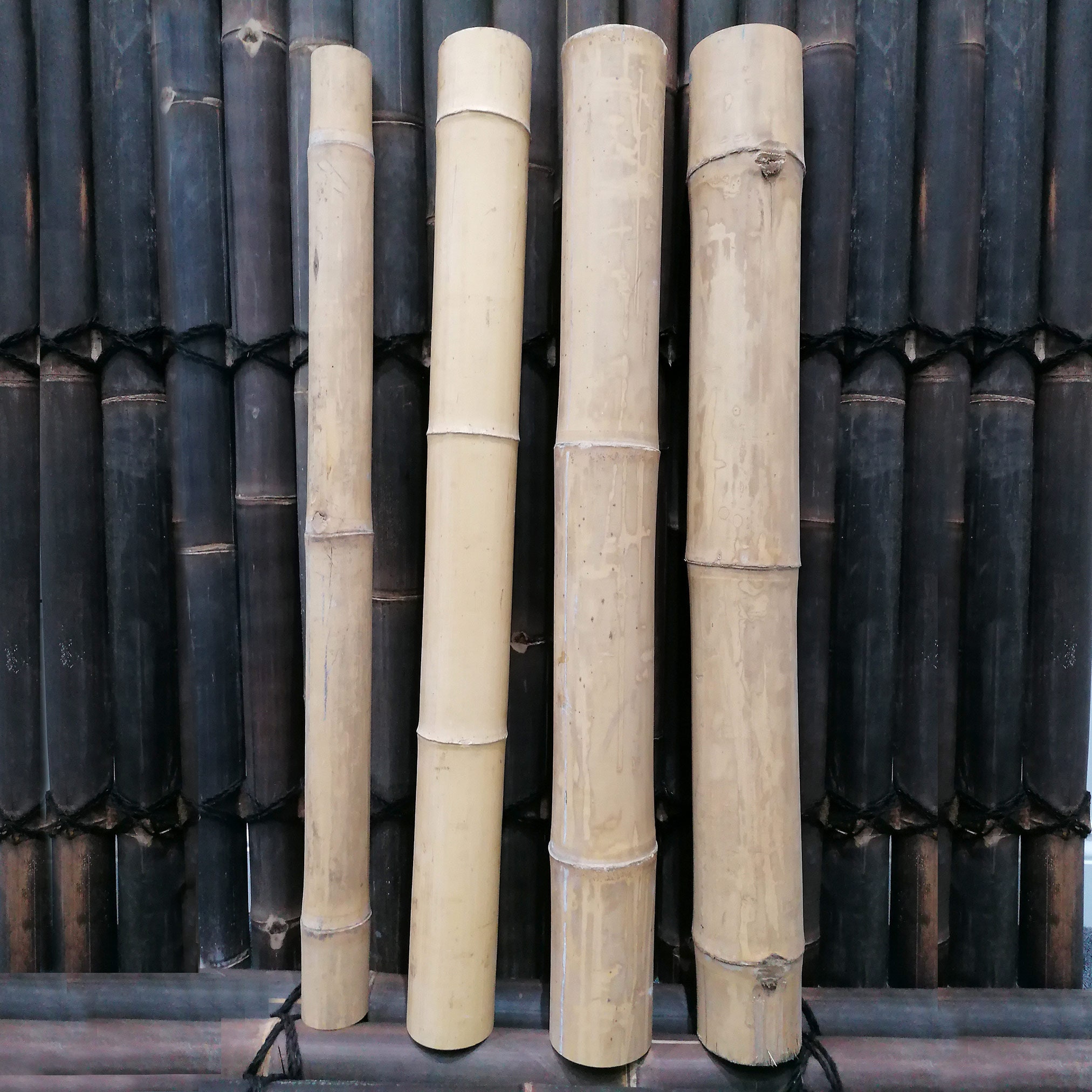 Natural Thick Bamboo Guadua Pole Cane 100cm 1m Home Garden Decoration -   Canada