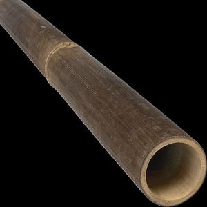 May include: A length of dark brown bamboo with a hollow interior. The bamboo has a natural, textured surface and a visible joint. The text "© BambooImport.com" is printed on the bamboo.
