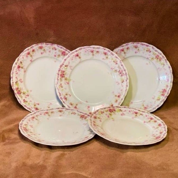 Vintage Rosenthal R.C. Iris Bavaria Wildflower & Pink Lillies 7 3/4" Plates (5)