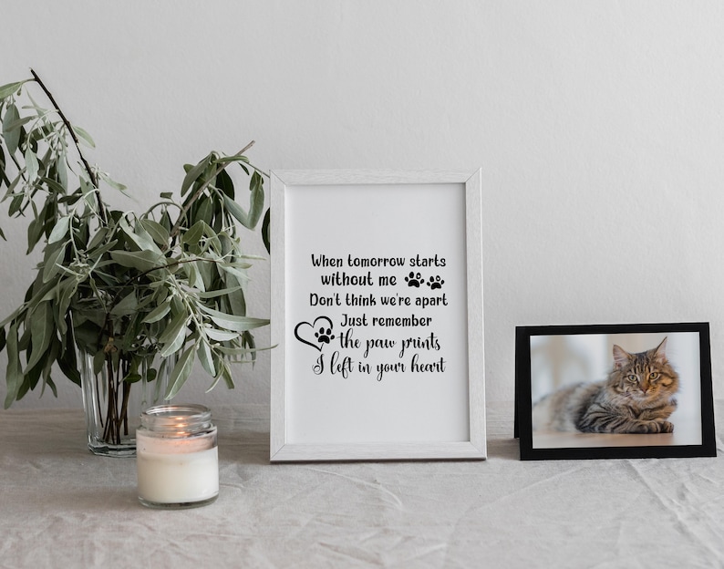 Cat Memorial SVG Pet Memorial SVG Bundle Pet Memorial Etsy