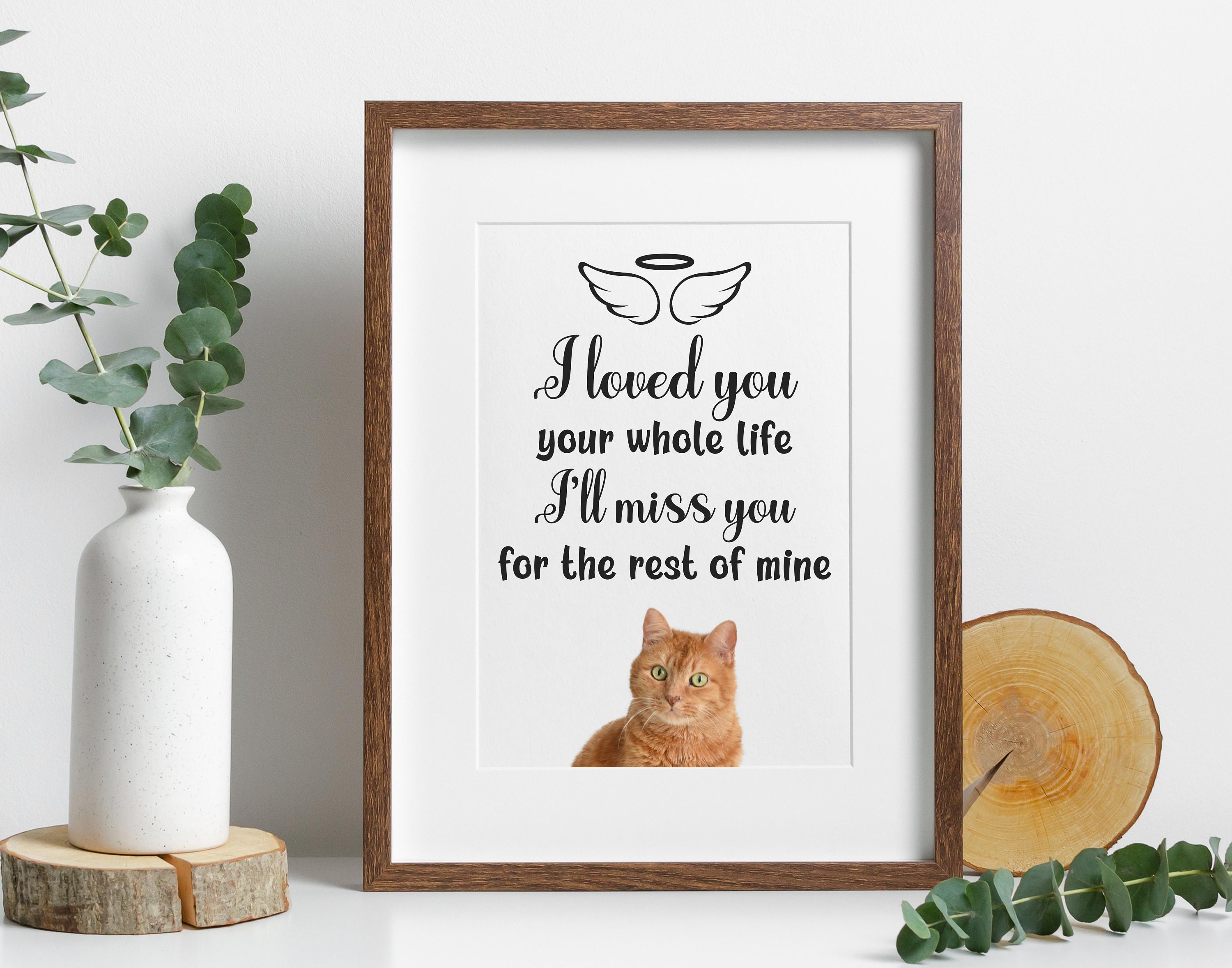 Cat Memorial SVG Pet Memorial SVG Bundle Pet Memorial Etsy