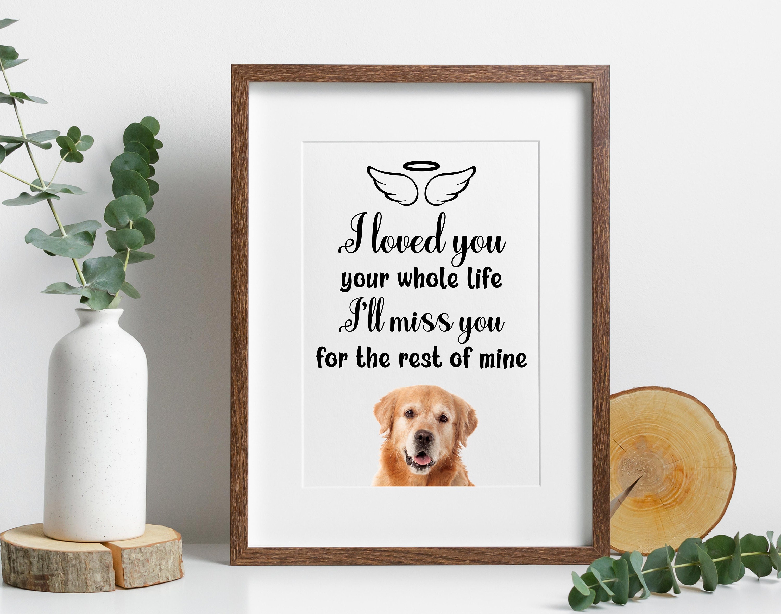 Pet Memorial SVG Bundle Dog Memorial SVG Pet Memorial Etsy Canada
