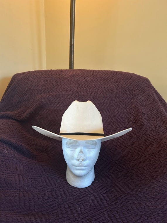 Vintage (1990s?) Super Cool (pun Intended) Tucson Arizona  display picture 3