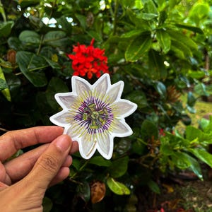 Passiflora Sticker