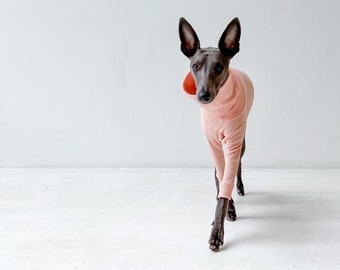 Winter Skivvy | Greyhound, Whippet & Italian Greyhound Clothing | Fitted sleeved Rib Knit