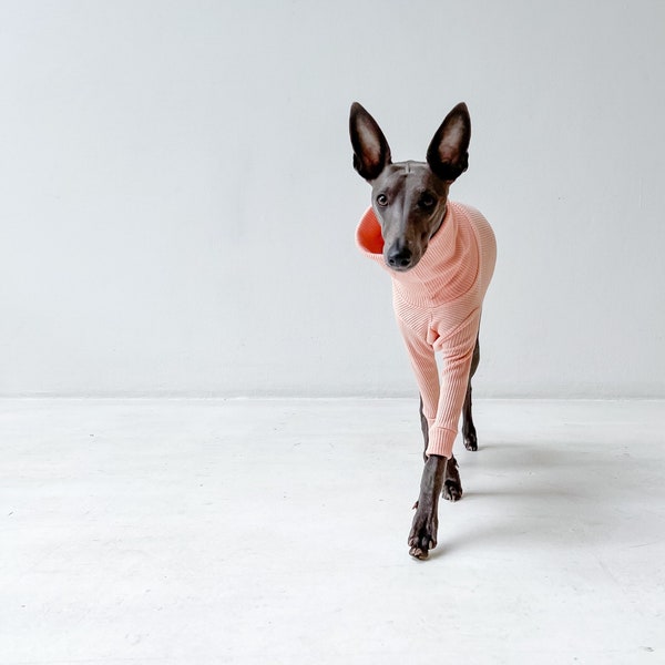 Whippet Clothing Etsy